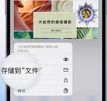 大同apple维修中心分享iPhone文件应用中存储和找到下载文件