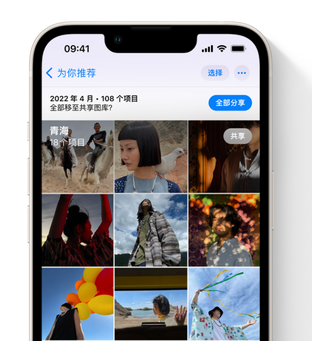 大同苹果维修网点分享在 iPhone 上使用共享图库 