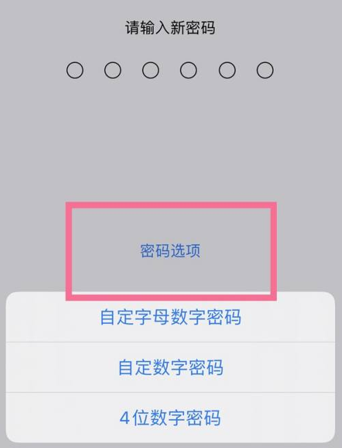 大同苹果14维修分享iPhone 14plus设置密码的方法 