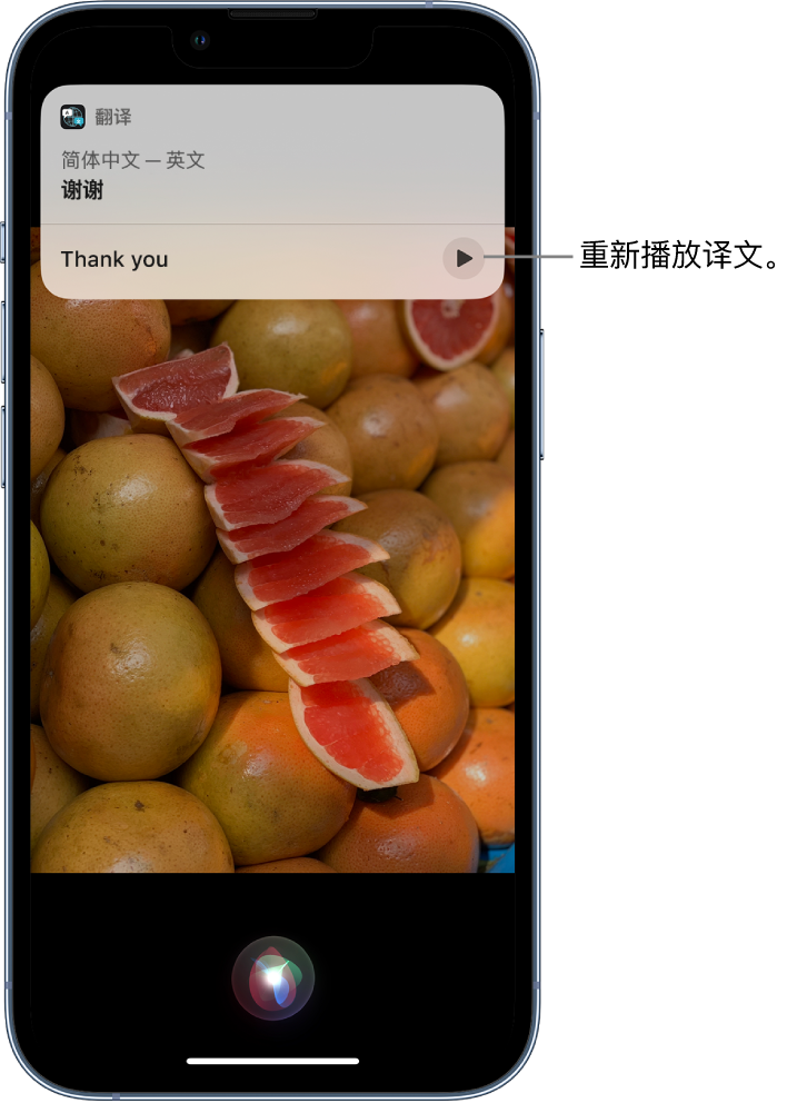 大同苹果14维修分享 iPhone 14 机型中使用 Siri：了解 Siri 能帮你做什么 